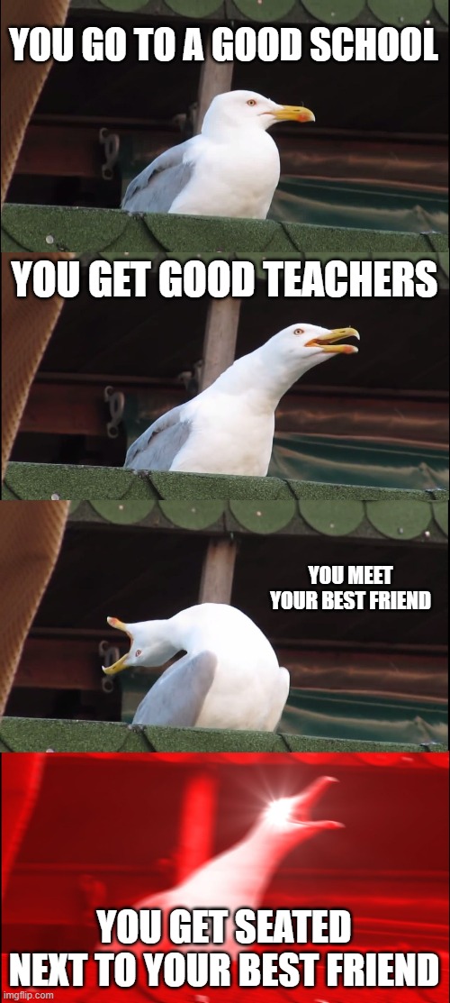 REEEEEEEEEEEEE | YOU GO TO A GOOD SCHOOL; YOU GET GOOD TEACHERS; YOU MEET YOUR BEST FRIEND; YOU GET SEATED NEXT TO YOUR BEST FRIEND | image tagged in memes,inhaling seagull | made w/ Imgflip meme maker