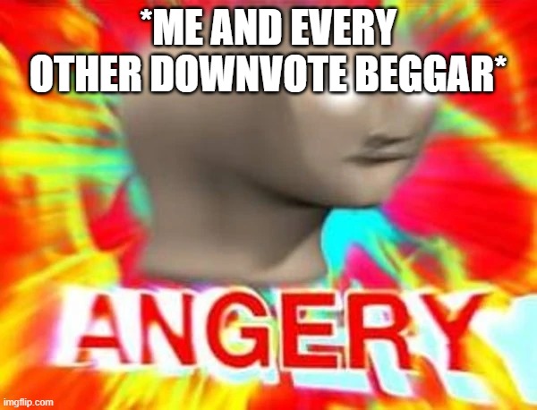 Angry meme man | *ME AND EVERY OTHER DOWNVOTE BEGGAR* | image tagged in angry meme man | made w/ Imgflip meme maker