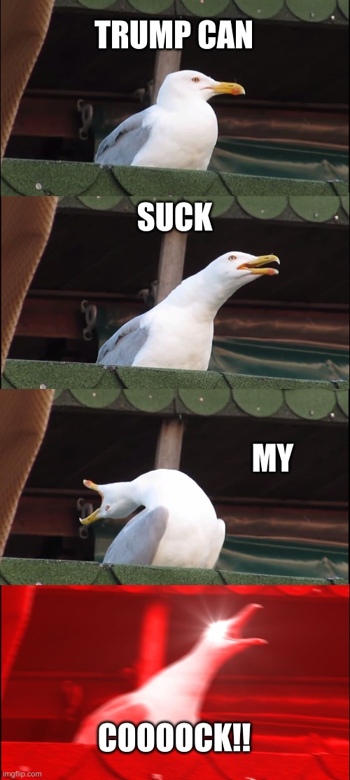 Inhaling Seagull Meme | TRUMP CAN; SUCK; MY; COOOOCK!! | image tagged in memes,inhaling seagull | made w/ Imgflip meme maker