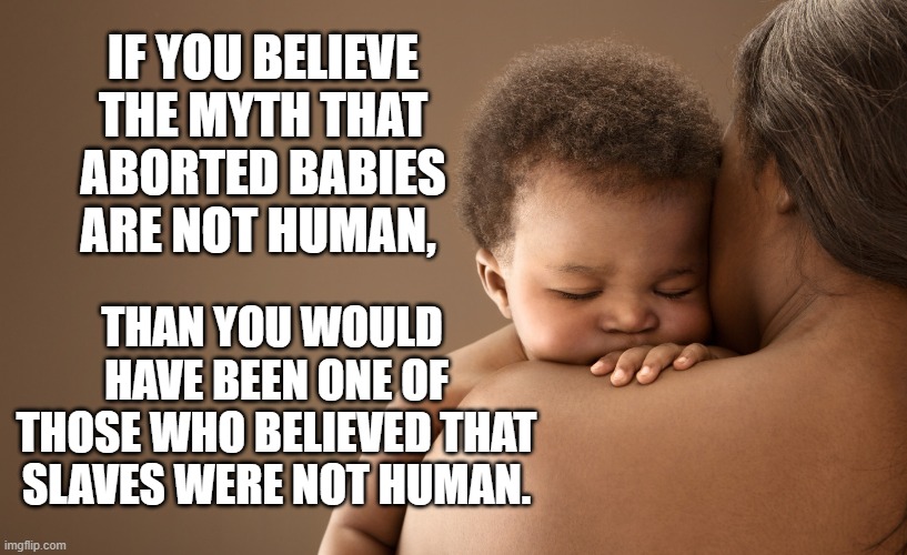 Modern and Historic Myths | IF YOU BELIEVE THE MYTH THAT ABORTED BABIES ARE NOT HUMAN, THAN YOU WOULD 
HAVE BEEN ONE OF THOSE WHO BELIEVED THAT SLAVES WERE NOT HUMAN. | image tagged in abortion,black lives matter | made w/ Imgflip meme maker