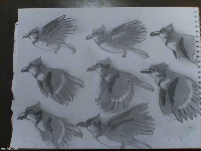 Bird sequence drawing!!! | image tagged in drawing,bird | made w/ Imgflip meme maker