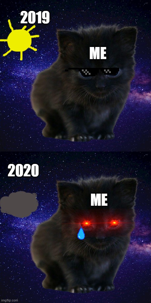 Sun is done in 2020 | 2019; ME; 2020; ME | image tagged in animallover4life | made w/ Imgflip meme maker