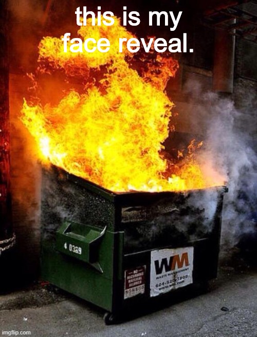 because i'm a dumpster fire | this is my face reveal. | image tagged in dumpster fire | made w/ Imgflip meme maker