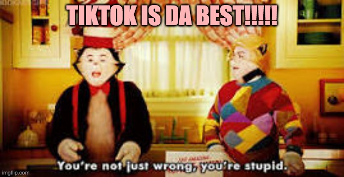 Your not just wrong your stupid | TIKTOK IS DA BEST!!!!! | image tagged in your not just wrong your stupid | made w/ Imgflip meme maker