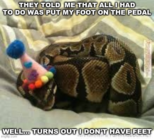 Snake in a hat | THEY TOLD  ME THAT ALL I HAD TO DO WAS PUT MY FOOT ON THE PEDAL; WELL... TURNS OUT I DON'T HAVE FEET | image tagged in snake in a hat | made w/ Imgflip meme maker