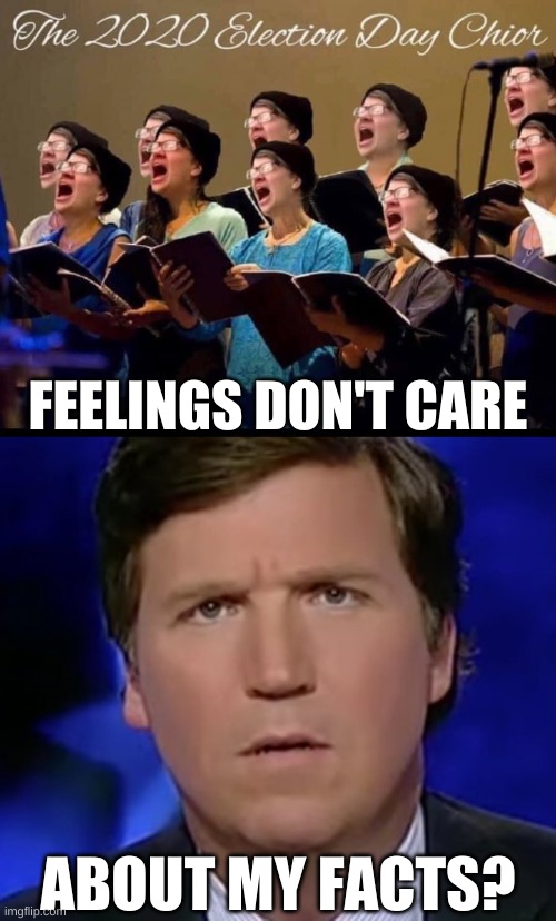 triggered tucker carlson confused about trump election loss | FEELINGS DON'T CARE; ABOUT MY FACTS? | image tagged in tucker carlson,triggered liberal,trump loses,election 2020,civil war,white nationalism | made w/ Imgflip meme maker