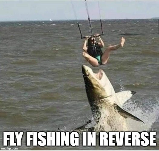 fly fishing | FLY FISHING IN REVERSE | image tagged in funny | made w/ Imgflip meme maker