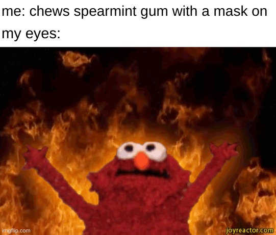 pick your poison, mask-breath or temporary blindness | me: chews spearmint gum with a mask on; my eyes: | image tagged in burning elmo,eyes,mask,burn | made w/ Imgflip meme maker