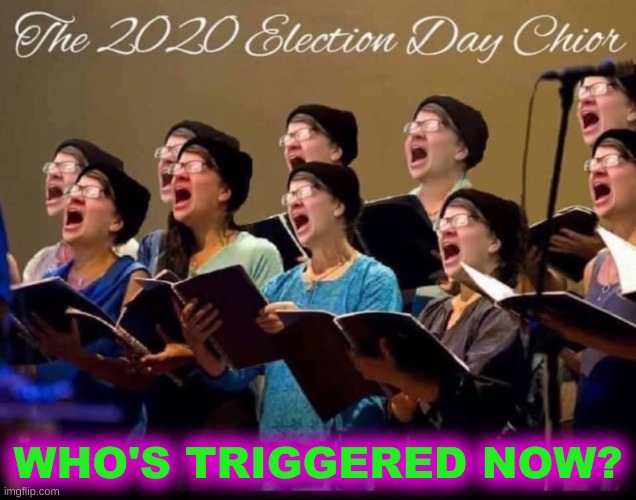 triggered liberals 2020 election day | WHO'S TRIGGERED NOW? | image tagged in triggered liberals 2020 election day,triggered liberal,triggered feminist,super_triggered,trump loses,election 2020 | made w/ Imgflip meme maker