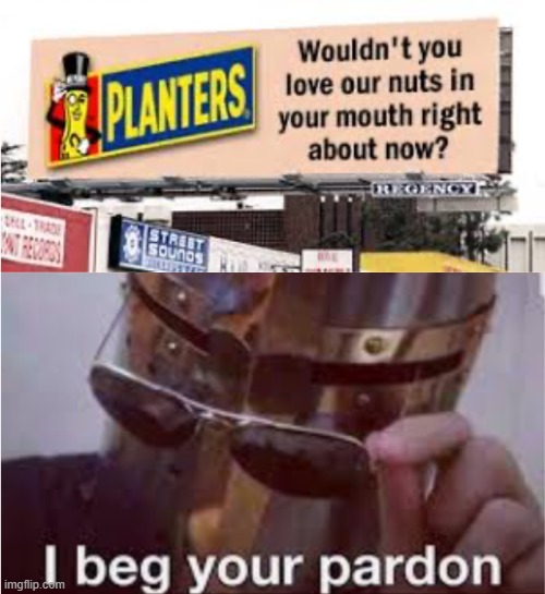 I beg your pardon | image tagged in nuts,peanuts | made w/ Imgflip meme maker