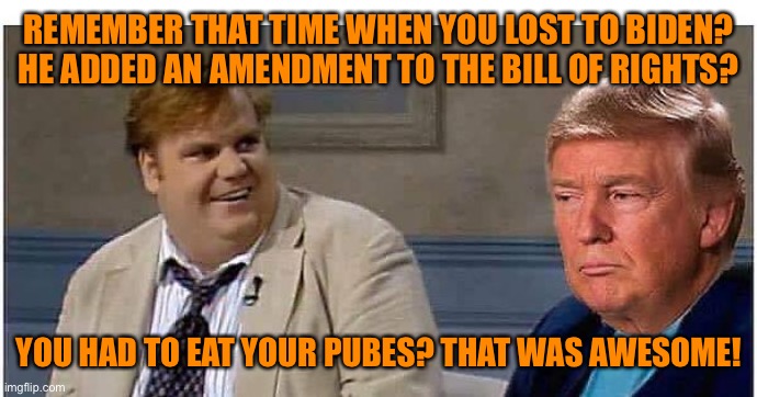 Remember that time | REMEMBER THAT TIME WHEN YOU LOST TO BIDEN? HE ADDED AN AMENDMENT TO THE BILL OF RIGHTS? YOU HAD TO EAT YOUR PUBES? THAT WAS AWESOME! | image tagged in remember that time | made w/ Imgflip meme maker