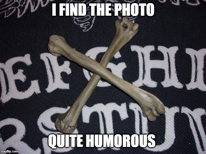 Humorous | I FIND THE PHOTO; QUITE HUMOROUS | image tagged in bone,bones | made w/ Imgflip meme maker