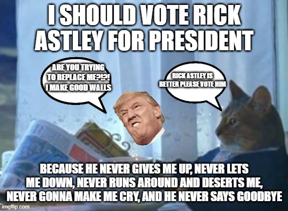 I Should Buy A Boat Cat Meme | I SHOULD VOTE RICK ASTLEY FOR PRESIDENT; ARE YOU TRYING TO REPLACE ME?!?! I MAKE GOOD WALLS; RICK ASTLEY IS BETTER PLEASE VOTE HIM; BECAUSE HE NEVER GIVES ME UP, NEVER LETS ME DOWN, NEVER RUNS AROUND AND DESERTS ME, NEVER GONNA MAKE ME CRY, AND HE NEVER SAYS GOODBYE | image tagged in memes,i should buy a boat cat | made w/ Imgflip meme maker