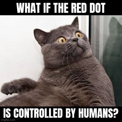 What if! | image tagged in gotanypain | made w/ Imgflip meme maker