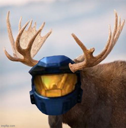 I call this photoshop, Camoose | image tagged in rvb,caboose,moose,photoshop,camoose | made w/ Imgflip meme maker