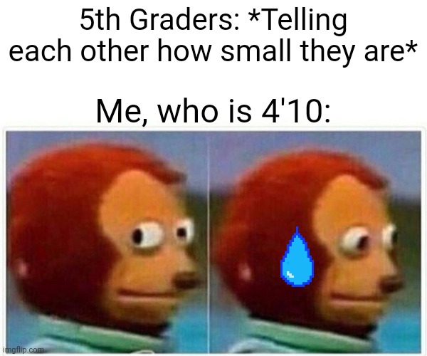 So This Happened to Me Today | 5th Graders: *Telling each other how small they are*; Me, who is 4'10: | image tagged in memes,monkey puppet | made w/ Imgflip meme maker