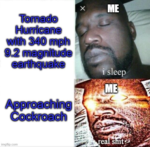 COCKROACH!!! | Tornado
Hurricane with 340 mph
9.2 magnitude earthquake; ME; Approaching Cockroach; ME | image tagged in memes,sleeping shaq | made w/ Imgflip meme maker