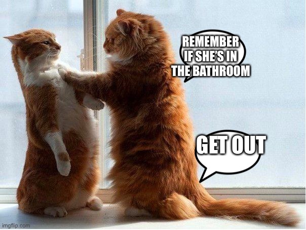 CONFRONTATION CAT | REMEMBER IF SHE’S IN THE BATHROOM; GET OUT | image tagged in confrontation cat | made w/ Imgflip meme maker