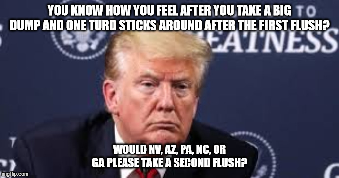 Dump Trump | YOU KNOW HOW YOU FEEL AFTER YOU TAKE A BIG DUMP AND ONE TURD STICKS AROUND AFTER THE FIRST FLUSH? WOULD NV, AZ, PA, NC, OR GA PLEASE TAKE A SECOND FLUSH? | image tagged in dump the trump,trump memes | made w/ Imgflip meme maker