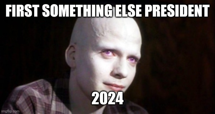 Something Else 2024 | FIRST SOMETHING ELSE PRESIDENT; 2024 | image tagged in powder | made w/ Imgflip meme maker