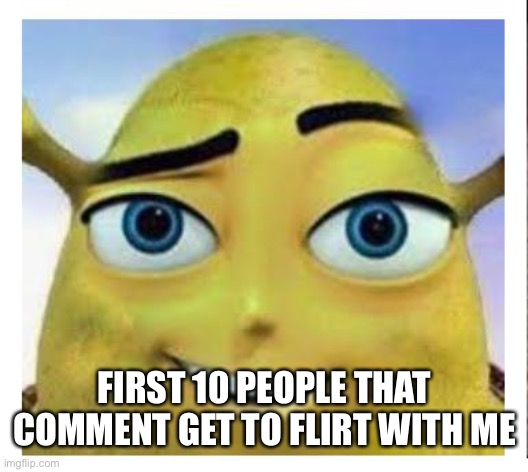 Why do I do this to myself? | FIRST 10 PEOPLE THAT COMMENT GET TO FLIRT WITH ME | image tagged in barry b shrekson,i shall suffer | made w/ Imgflip meme maker