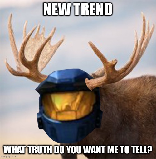 Camoose | NEW TREND; WHAT TRUTH DO YOU WANT ME TO TELL? | image tagged in camoose,truth | made w/ Imgflip meme maker