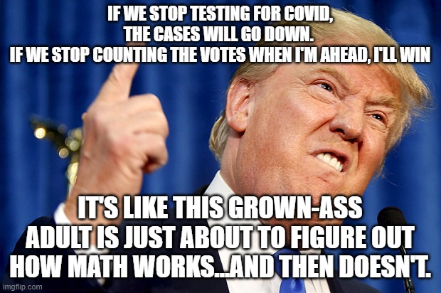 Donald Trump | IF WE STOP TESTING FOR COVID, THE CASES WILL GO DOWN. 
IF WE STOP COUNTING THE VOTES WHEN I'M AHEAD, I'LL WIN; IT'S LIKE THIS GROWN-ASS ADULT IS JUST ABOUT TO FIGURE OUT HOW MATH WORKS...AND THEN DOESN'T. | image tagged in donald trump | made w/ Imgflip meme maker