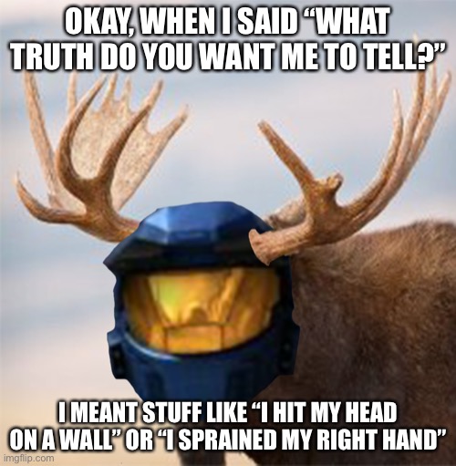 Camoose | OKAY, WHEN I SAID “WHAT TRUTH DO YOU WANT ME TO TELL?”; I MEANT STUFF LIKE “I HIT MY HEAD ON A WALL” OR “I SPRAINED MY RIGHT HAND” | image tagged in camoose | made w/ Imgflip meme maker