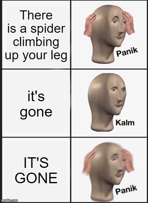 Panik Kalm Panik Meme | There is a spider climbing up your leg; it's gone; IT'S GONE | image tagged in memes,panik kalm panik | made w/ Imgflip meme maker