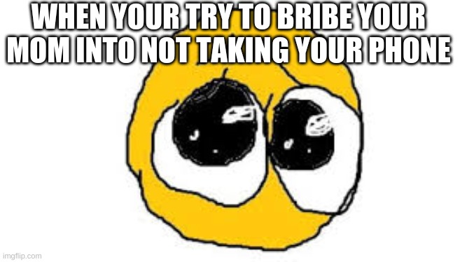 oh no | WHEN YOUR TRY TO BRIBE YOUR MOM INTO NOT TAKING YOUR PHONE | image tagged in idk | made w/ Imgflip meme maker