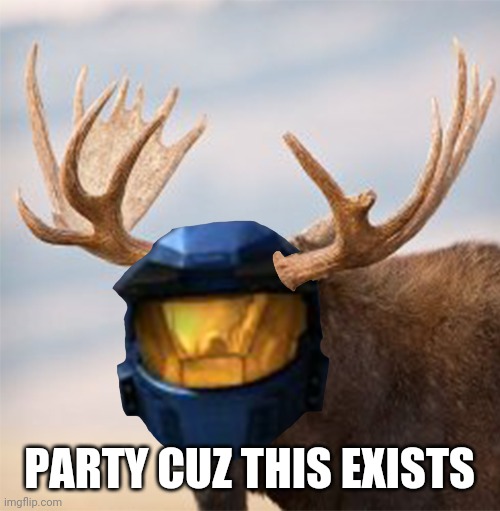 Camoose | PARTY CUZ THIS EXISTS | image tagged in camoose | made w/ Imgflip meme maker