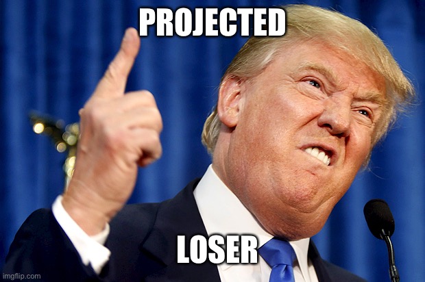 Donald Trump | PROJECTED; LOSER | image tagged in donald trump | made w/ Imgflip meme maker