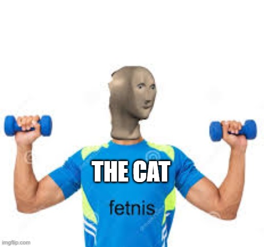 THE CAT | made w/ Imgflip meme maker