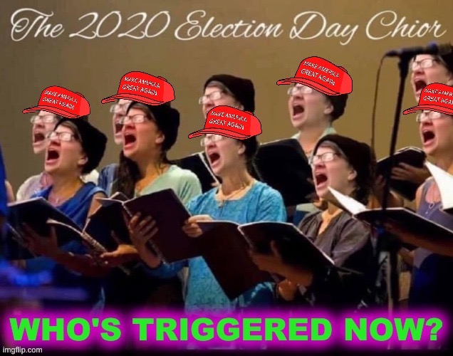 MAGAts and libtards together: In 2020, we all sing the triggered song of our people | image tagged in the 2020 election day choir 1/2 maga edition,political humor,election 2020,2020 elections,trump 2020,politics lol | made w/ Imgflip meme maker