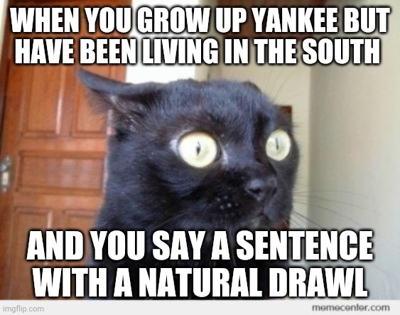 This happens once in a blue moon and kinda scares me! Lol | WHEN YOU GROW UP YANKEE BUT HAVE BEEN LIVING IN THE SOUTH; AND YOU SAY A SENTENCE WITH A NATURAL DRAWL | image tagged in scared cat | made w/ Imgflip meme maker