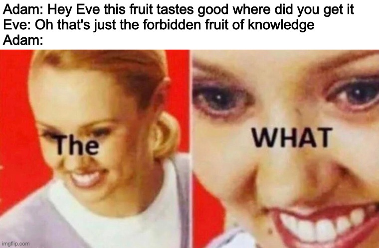 the what | Adam: Hey Eve this fruit tastes good where did you get it
Eve: Oh that's just the forbidden fruit of knowledge
Adam: | image tagged in the what | made w/ Imgflip meme maker