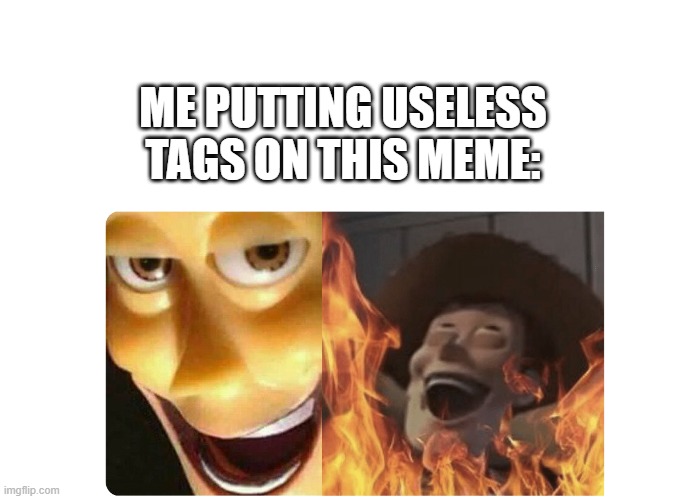 MUAHHAHAHAA | ME PUTTING USELESS TAGS ON THIS MEME: | image tagged in memes,funny,gifs,pie charts | made w/ Imgflip meme maker