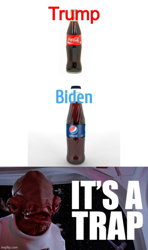 Selection 2020 | image tagged in selection,trump,biden,vote,election | made w/ Imgflip meme maker
