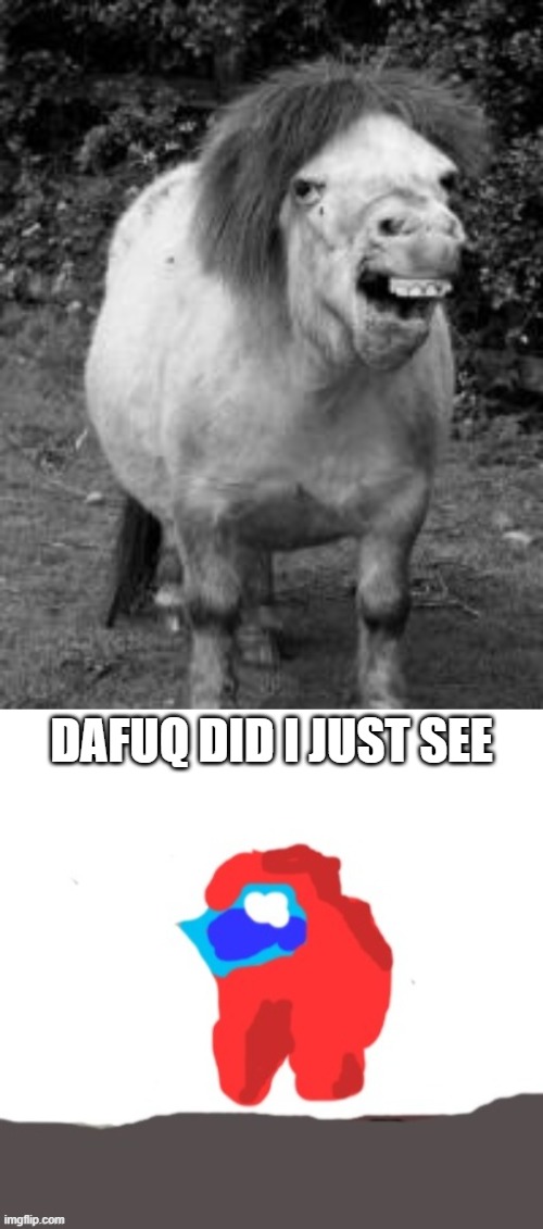 DAFUQ DID I JUST SEE | image tagged in dafuq is that | made w/ Imgflip meme maker