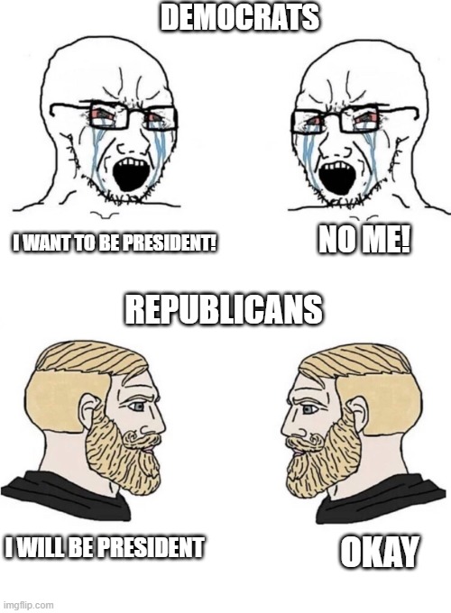 Chad Yes Meme | DEMOCRATS; NO ME! I WANT TO BE PRESIDENT! REPUBLICANS; I WILL BE PRESIDENT; OKAY | image tagged in chad yes meme | made w/ Imgflip meme maker