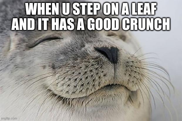 Satisfied Seal | WHEN U STEP ON A LEAF AND IT HAS A GOOD CRUNCH | image tagged in memes,satisfied seal | made w/ Imgflip meme maker