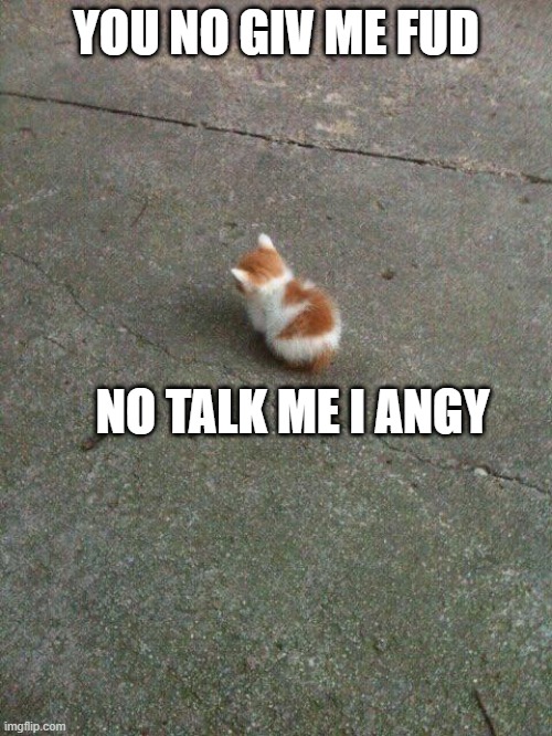 No Talk. Am Angy. | YOU NO GIV ME FUD; NO TALK ME I ANGY | image tagged in no talk am angy,no food | made w/ Imgflip meme maker