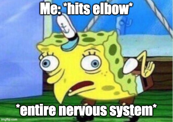 Mocking Spongebob Meme | Me: *hits elbow*; *entire nervous system* | image tagged in memes,mocking spongebob | made w/ Imgflip meme maker