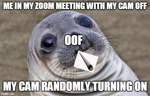 Awkward Moment Sealion Meme | ME IN MY ZOOM MEETING WITH MY CAM OFF; OOF; MY CAM RANDOMLY TURNING ON | image tagged in memes,awkward moment sealion | made w/ Imgflip meme maker