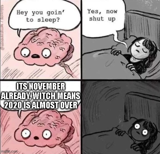 2020 is almost over | ITS NOVEMBER ALREADY, WITCH MEANS 2020 IS ALMOST OVER | image tagged in waking up brain | made w/ Imgflip meme maker