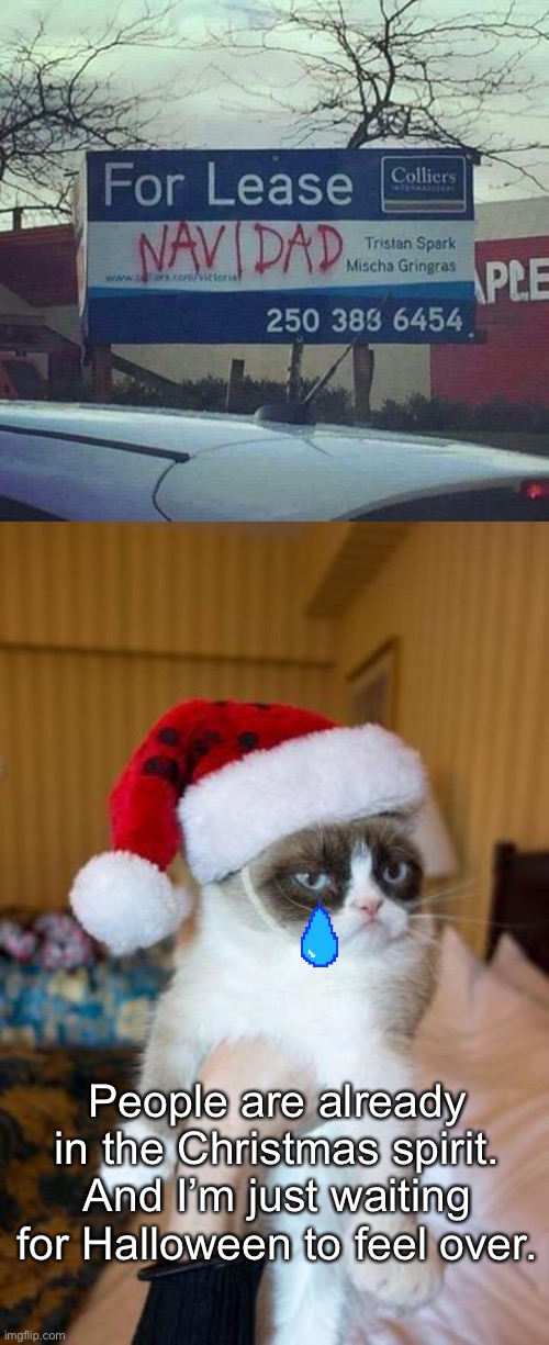 vandalism is sometimes funny | People are already in the Christmas spirit. And I’m just waiting for Halloween to feel over. | image tagged in memes,grumpy cat christmas,halloween,funny,vandalism | made w/ Imgflip meme maker