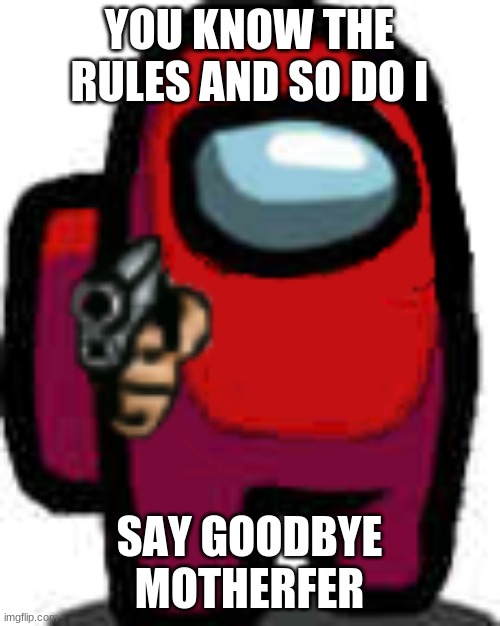 red among us guy with a gun | YOU KNOW THE RULES AND SO DO I SAY GOODBYE MOTHERFER | image tagged in red among us guy with a gun | made w/ Imgflip meme maker