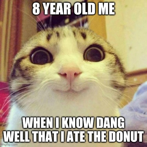 haven't we all? | 8 YEAR OLD ME; WHEN I KNOW DANG WELL THAT I ATE THE DONUT | image tagged in memes,smiling cat | made w/ Imgflip meme maker