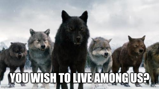 Wolf pack | YOU WISH TO LIVE AMONG US? | image tagged in wolf pack | made w/ Imgflip meme maker