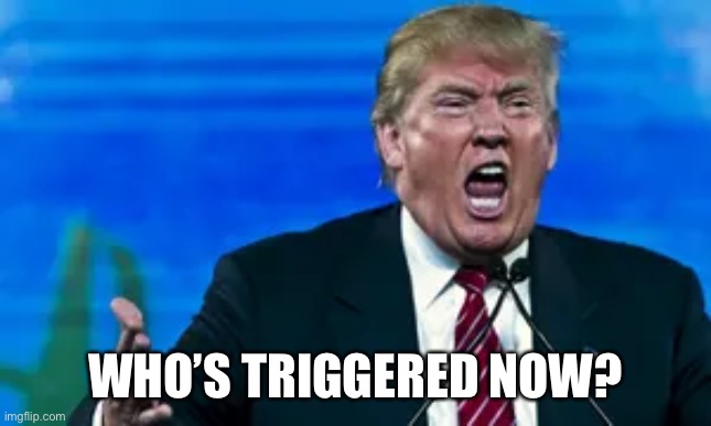 Who’s Triggered Now? | WHO’S TRIGGERED NOW? | image tagged in donald trump | made w/ Imgflip meme maker